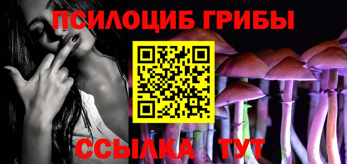 Псилоцибиновые грибы Psilocybe  где найти наркотики  Семилуки  Вход с VPN 